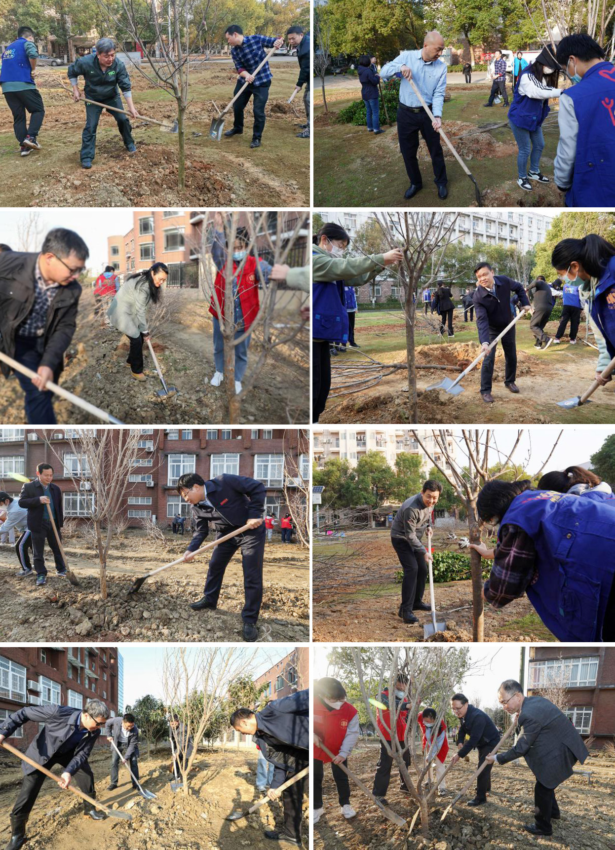 学校组织开展义务植树活动